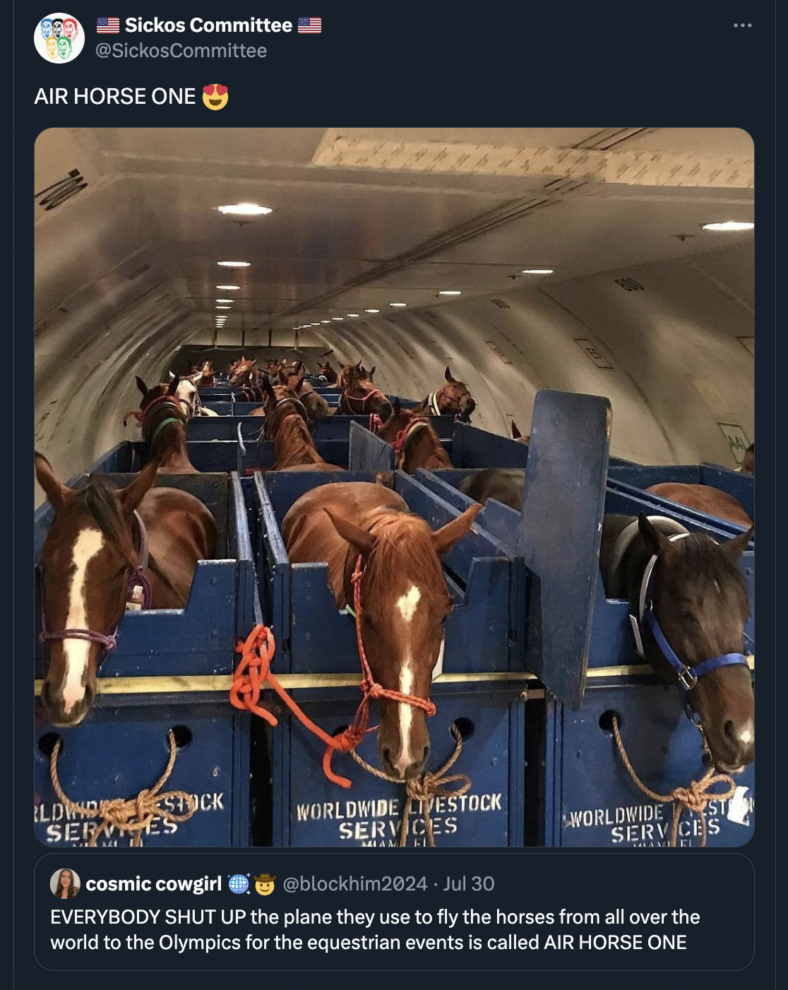 horse escapes on plane - Sickos Committee Air Horse One Ilding Stock Services Worldwide Testock Services Worldwide Services cosmic cowgirl . Jul 30 Everybody Shut Up the plane they use to fly the horses from all over the world to the Olympics for the eque